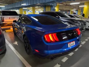 2019 Ford Mustang EcoBoost