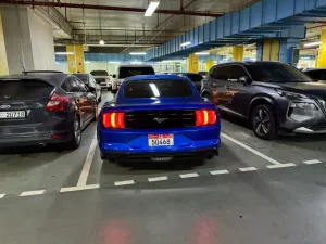 2019 Ford Mustang EcoBoost