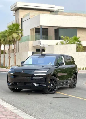2025 بي واي دي دينزا