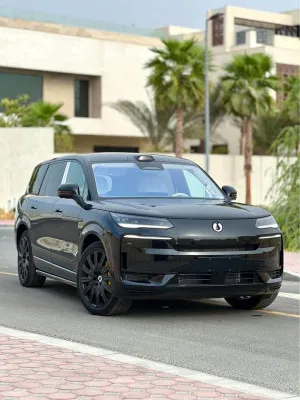 2025 بي واي دي دينزا