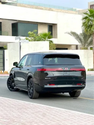 2025 بي واي دي دينزا