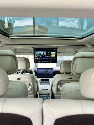 2025 بي واي دي دينزا