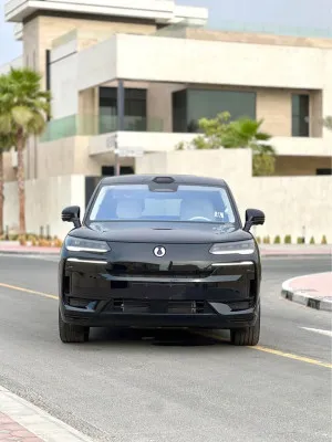 2025 بي واي دي دينزا