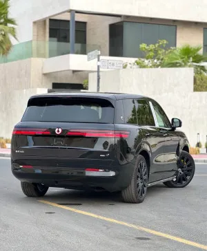 2025 بي واي دي دينزا