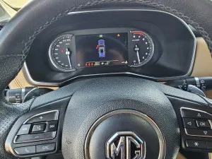 2020 MG RX8