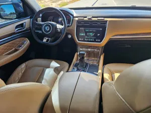 2020 MG RX8