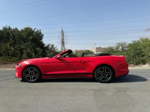 2019 فورد موستانج EcoBoost Convertible