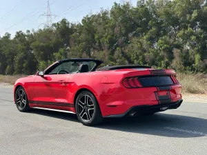 2019 فورد موستانج EcoBoost Convertible