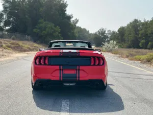 2019 فورد موستانج EcoBoost Convertible