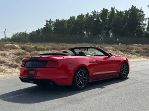 2019 فورد موستانج EcoBoost Convertible