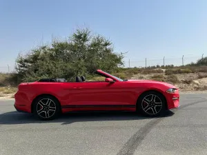 2019 فورد موستانج EcoBoost Convertible