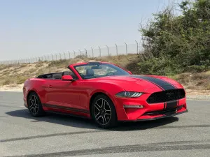 2019 فورد موستانج EcoBoost Convertible