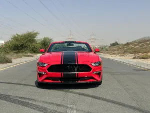 2019 فورد موستانج EcoBoost Convertible