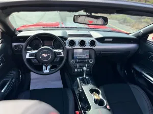 2019 فورد موستانج EcoBoost Convertible