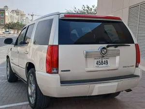 2009 كاديلاك اسكاليد Platinum