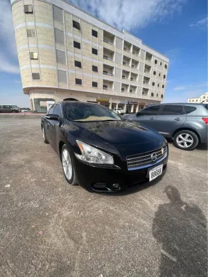 2010 Nissan Maxima S