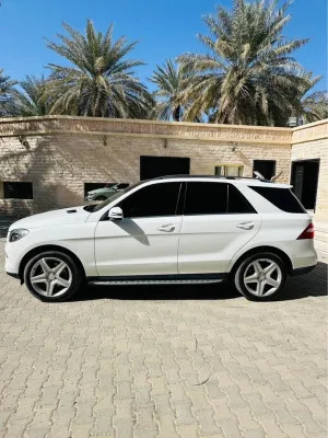 2014 مرسيدس-بنز ام ال ML350