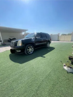 2008 كاديلاك اسكاليد Luxury