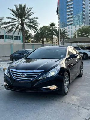 2014 Hyundai Sonata SE