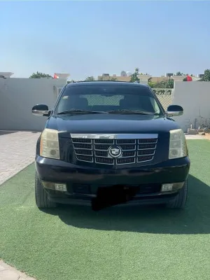 2008 كاديلاك اسكاليد Luxury