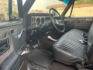 1975 Chevrolet Silverado RST