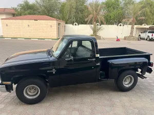 1975 Chevrolet Silverado RST