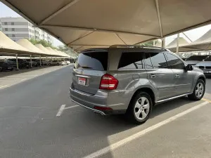 2010 Mercedes-Benz GL GL450