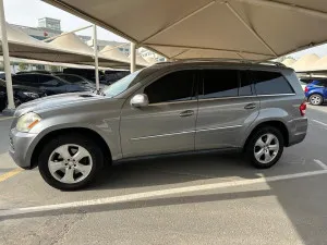 2010 Mercedes-Benz GL GL450