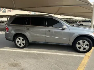 2010 Mercedes-Benz GL GL450