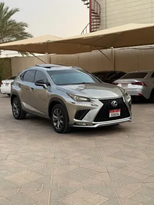 2016 Lexus NX NX250