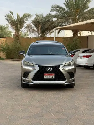 2016 Lexus NX NX250
