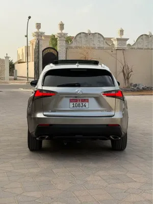 2016 Lexus NX NX250