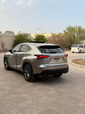 2016 Lexus NX NX250