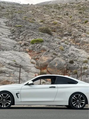 2014 بي أم دابليو الفئة - 4 420i