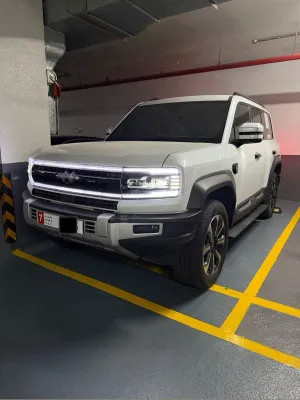 2024 بي واي دي ليوبارد