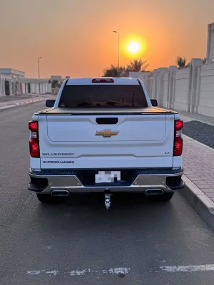 2022 شيفروليه سيلفرادو Custom