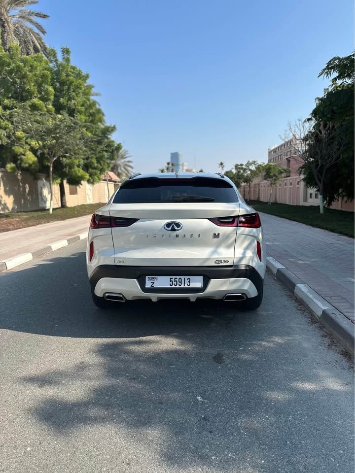 2023 Infiniti QX55 LUXE