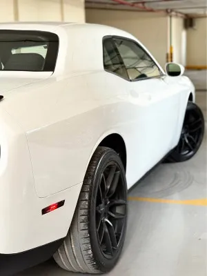 2019 Dodge Challenger R/T