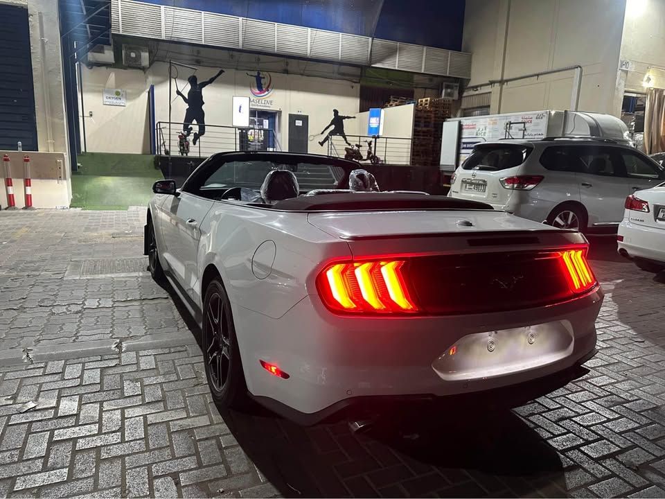 2023 فورد موستانج EcoBoost Convertible