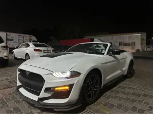 2023 فورد موستانج EcoBoost Convertible