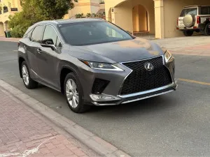 2019 لكزس ار آكس RX 350