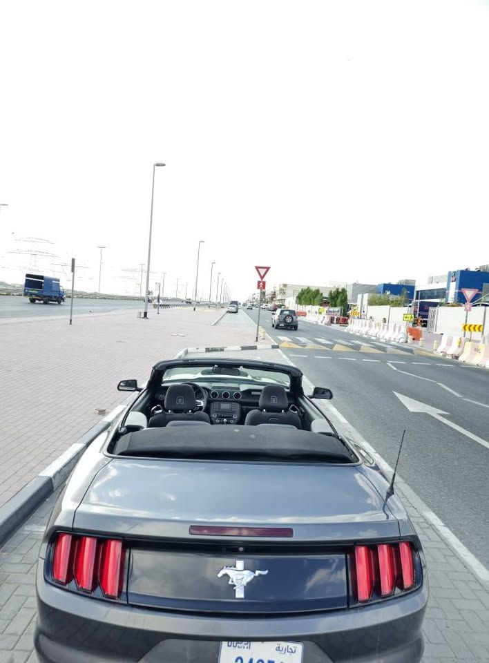 2017 فورد موستانج EcoBoost Convertible