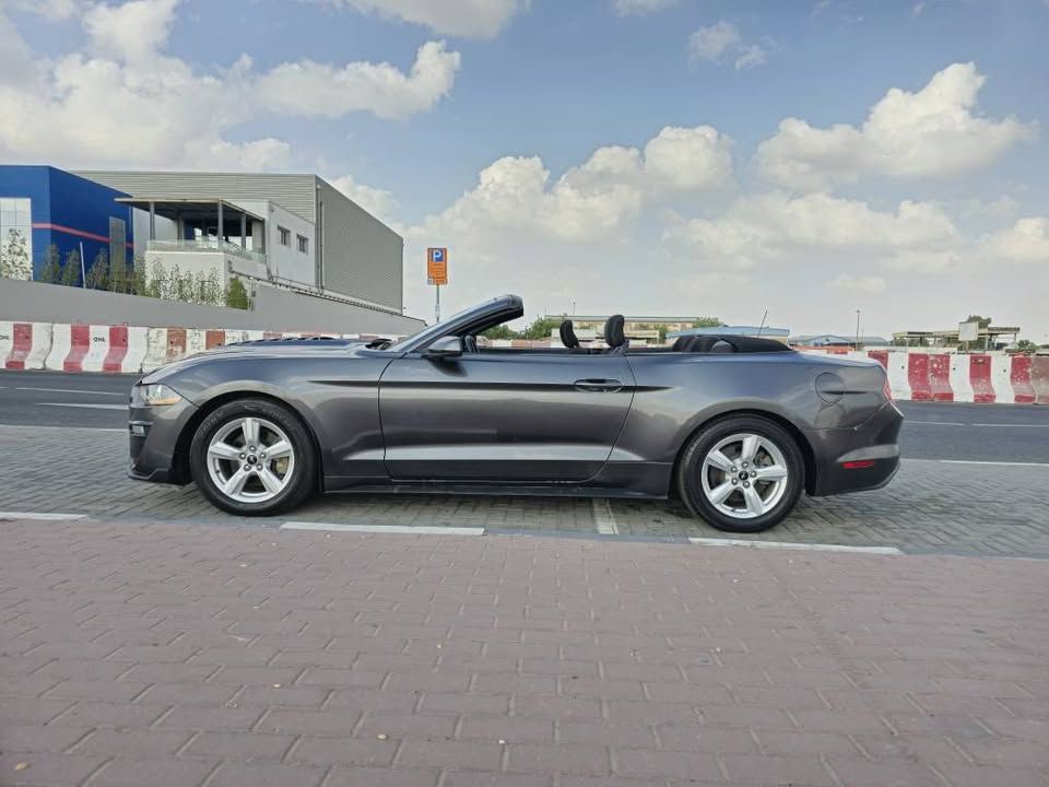 2017 فورد موستانج EcoBoost Convertible