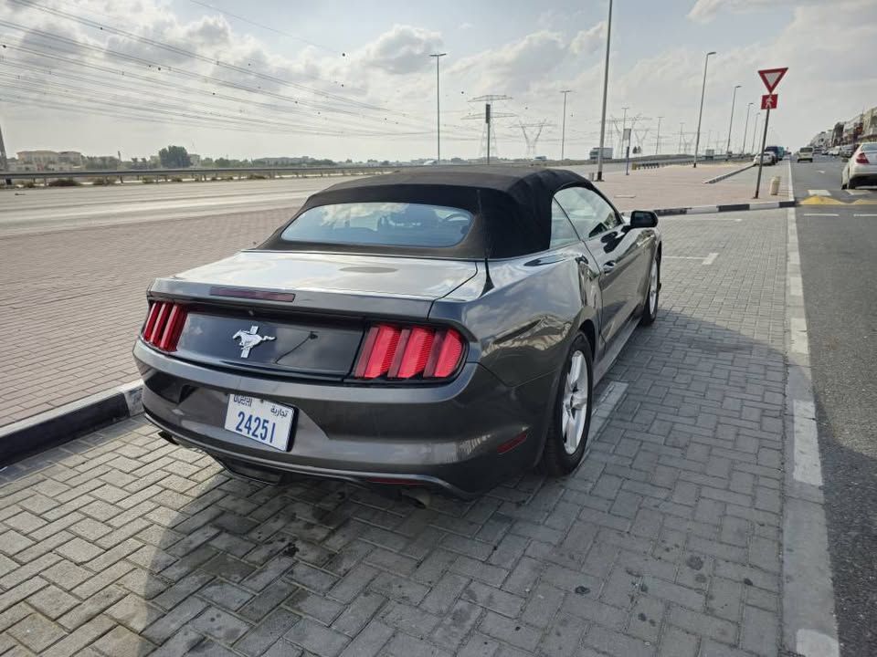2017 فورد موستانج EcoBoost Convertible