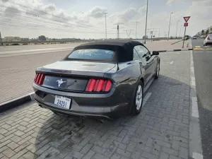 2017 فورد موستانج EcoBoost Convertible