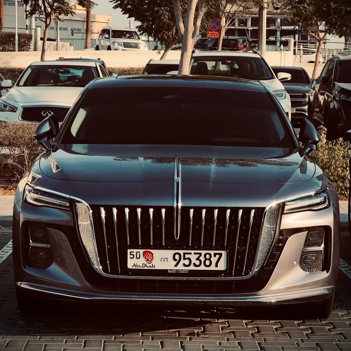 2024 Hongqi Ousado