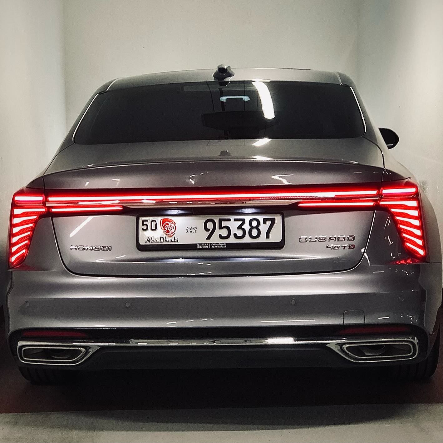 2024 Hongqi Ousado