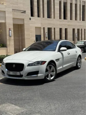 2018 جاكوار اكس اف R-Sport