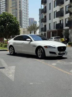 2018 جاكوار اكس اف R-Sport