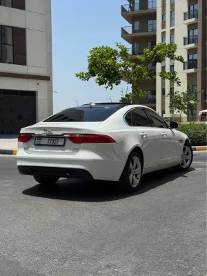 2018 جاكوار اكس اف R-Sport